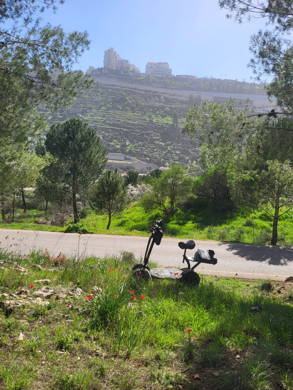 ืืขืืื ืืืืืข